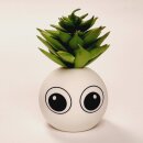 HappyPlants Kunstpflanze - Motiv "Augen"