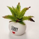 HappyPlants Kunstpflanze - Motiv "Sorry"