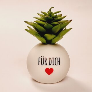 HappyPlants Kunstpflanze - Motiv "Für Dich"