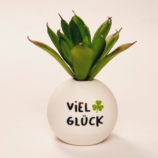 HappyPlants Kunstpflanze - Motiv "Viel Glück"