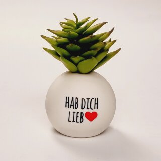 HappyPlants Kunstpflanze - Motiv "Hab Dich lieb"